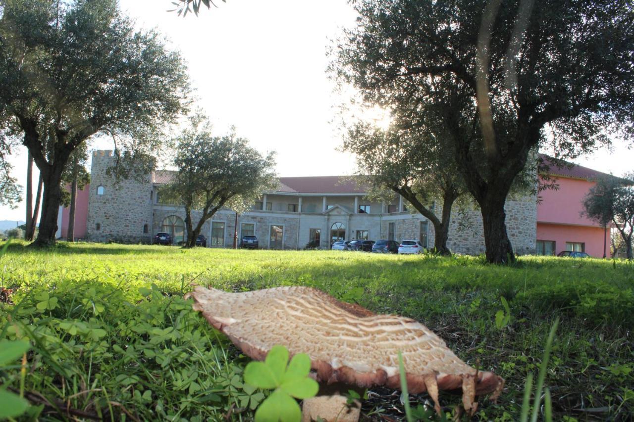 Palace Hotel & Spa Termas De Sao Tiago Penamacor Dış mekan fotoğraf